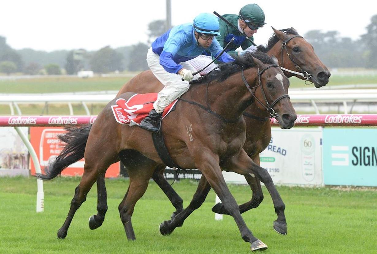 WARRIOR SURGES THROUGH THE RAIN